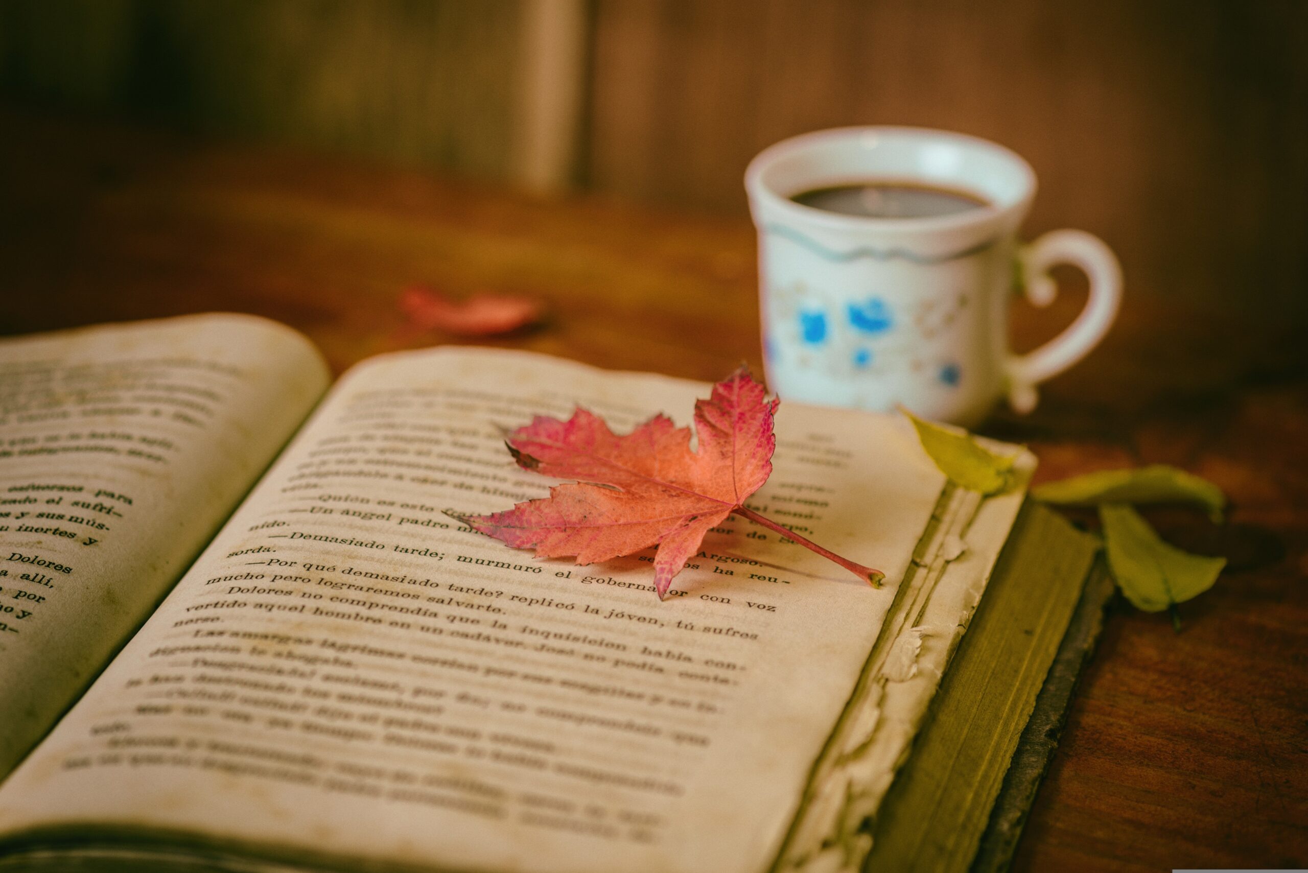 Leer para escribir