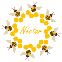 Néctar Evento